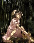  animal_ears bamboo bamboo_forest barefoot black_hair bloomers bunny_ears dappled_sunlight dress forest inaba_tewi nature red_eyes short_hair sitting solo sun-3 sunlight touhou underwear 