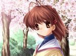  cg clannad furukawa_nagisa game_cg key tagme 