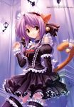  garter lolita_fashion maid nekomimi tail thighhighs ueda_ryo 