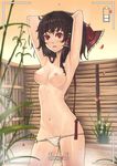  armpits arms_behind_head arms_up bow breasts brown_hair fundoshi hair_bow hair_tubes hakurei_reimu japanese_clothes medium_breasts navel nipples onsen petals pussy_peek red_eyes remana solo topless touhou underwear underwear_only viewfinder 