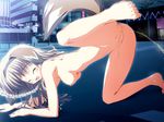  all_fours exhibitionism golden_showers inumimi kemonomimi korie_riko tagme tail urine watersports 