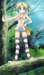  blush casual double_buns green_hair hoshizora_e_kakaru_hashi loli shorts shoulder_bag striped_socks tree yellow_eyes 