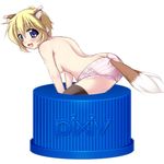  animal_ears chibi faux_figurine lowres lucky_star panties patricia_martin pixiv_bottlecap simple_background solo tail tekehiro underwear white_background wolf_ears 