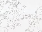  pokemon reshiram tagme zekrom 