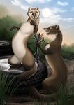  brown_eyes conditional_dnp female feral grass male mammal marten mustelid non-anthro sauve surprise tani_da_real tire tires wires 