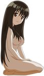  chikumaen_kaho mayoi_neko_overrun! nipples nude transparent_png vector_trace 