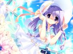  braid dress dutch_angle flower game_cg hat lime_luna_oaklane petals primary_~magical_trouble_scramble~ purple_eyes purple_hair smile solo tsurugi_hagane windmill 