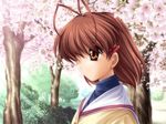  cg clannad furukawa_nagisa game_cg key tagme 