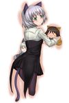  black_legwear brown_hair character_doll chibi eila_ilmatar_juutilainen green_eyes looking_back miyafuji_yoshika pantyhose rokuichi sanya_v_litvyak short_hair silver_hair strike_witches tail world_witches_series 