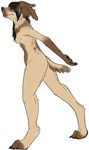  anthro breasts canine claws dog female hindpaw leverpuller mammal nude paws plain_background side_boob solo white_background 