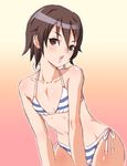  bikini brown_eyes brown_hair flat_chest jirou_(opantsumachine) sengoku_musou_3 short_hair solo striped striped_bikini striped_swimsuit swimsuit takenaka_hanbee_(sengoku_musou) 