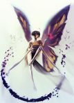  butterfly fairy short_hair tagme wakkawa wings 