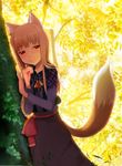  animal_ears brown_hair forest holo long_hair m-hit nature red_eyes solo spice_and_wolf tail wolf_ears 
