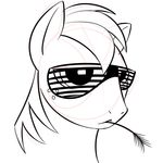  equine eyewear friendship_is_magic glasses horse male mammal my_little_pony plain_background pony solo unknown_artist white_background 