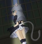  animal_ears artist_request ass cathy cathy_(yugioh_zexal) cathy_(yuu-gi-ou_zexal) fang glasses gothic_lolita lolita_fashion panties smile tail underwear yu-gi-oh! yugioh_zexal yuu-gi-ou_zexal 