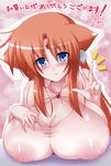  arf c.r. cleavage kemonomimi mahou_shoujo_lyrical_nanoha nipples see_through 