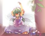  blue_eyes candy dress fairy green_hair plant pointed_ears tagme waking_up 