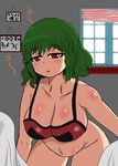  bare_shoulders bra breasts cleavage female green_hair kazami_yuuka red_eyes touhou underwear youkai 