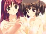  cg eroge tagme toheart toheart_anotherdays 