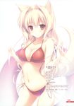  bikini blonde breasts cleavage dog_ears dog_tail empathy fujisaki_rei high_res innertube inumimi kemonomimi large_breasts mizugi oppai red_eyes side-tie_bikini tail 