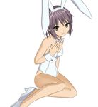  3d bunnygirl costume hokusen nagato_yuki suzumiya_haruhi_no_yuuutsu 