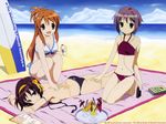  artist_request asahina_mikuru ass beach bikini brown_hair day lotion lotion_bottle multiple_girls nagato_yuki outdoors short_hair sunscreen suzumiya_haruhi suzumiya_haruhi_no_yuuutsu swimsuit thighs wallpaper 