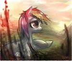  equine female friendship_is_magic horse my_little_pony pegasus pink_eyes pony rainbow_dash_(mlp) rainbow_hair topshot 