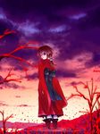  asaki_takayuki brown_hair flower geta japanese_clothes kimono kurame kusari_hime:_euthanasia long_hair looking_back ponytail red_eyes ripples sky slit_pupils smile solo spider_lily staring sunset tengu-geta water 