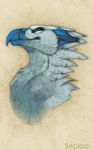  avian beak blue feathers green_eyes gryphon looking_at_viewer sepiaa simple_background 