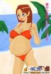  belly bikini mizugi navel orange_bikini pregnant tagme 