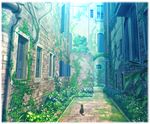  cat cityscape dontakku flower ivy moss no_humans original plant scenery 