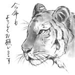  bad_pixiv_id fuji_tsugu greyscale monochrome new_year no_humans original simple_background solo tiger translated white_background 