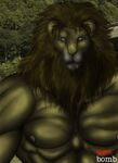  feline lion male mammal muscles solo 