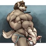  anthro balls beard bulge canid canine clothed clothing erection facial_hair huge_muscles humanoid_penis jockstrap looking_at_viewer male mammal muscular muscular_male oldshep penis precum pubes smile solo standing topless underwear 
