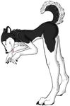  bent_over black black_fur breasts canine claws dog eyes_closed female flat_chest fur hindpaw leverpuller mammal nude paws plain_background raised_tail small_breasts solo tongue white white_background white_fur 