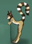  ajna blue_eyes cacomistle feline female genet looking_at_viewer mammal nude raised_tail solo tail tee 