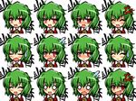  ^_^ anger_vein angry ascot bad_id bad_pixiv_id banned_artist blush closed_eyes expressions faceset green_hair kazami_yuuka kisaragi_zwei o_o open_mouth red_eyes short_hair smile solo touhou 