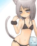  :3 animal_ears bad_id bad_pixiv_id bikini cat_ears flat_chest grey_eyes grey_hair miyamae_porin navel original side-tie_bikini solo swimsuit tail 