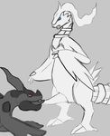  pokemon reshiram tagme zekrom 