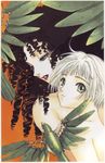  clamp clover nude oruha suu_(clover) 