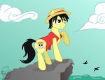  avian bird black_hair crossover equine hair hat horse luffe male my_little_pony one_piece paranormal_one pony 