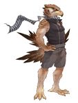  2018 anthro avian beak brown_eyes brown_feathers clothed clothing digital_media_(artwork) feathers hand_on_hip male muscular muscular_male pngx_(artist) scarf simple_background smile solo standing talons white_background 