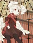  albino headwings ikura_hato pantyhose red_eyes white_hair wings 