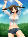  animal_ears arms_up blue_sky blush breasts brown_eyes brown_hair cleavage cloud collarbone cutoffs day denim denim_shorts front-tie_top highres large_breasts midriff navel open_mouth pappel_ostern pixiv_fantasia pixiv_fantasia_5 red_eyes shiny shiny_skin shirt short_hair short_shorts shorts sky sleeves_rolled_up solo thighs tied_shirt wet wet_clothes yagisaka_seto 