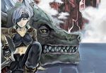  dragon eye_patch female gray_hair oppai short_hair tagme tosh 