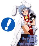  animal_ears ayasaki_hayate disc_cover hayate_no_gotoku! kemonomimi thighhighs trap undressing usamimi 