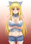  :&lt; animal_ears blonde_hair blush body_blush breasts bustier cleavage cosplay crossed_arms dog_days fate_testarossa groin large_breasts leonmitchelli_galette_des_rois leonmitchelli_galette_des_rois_(cosplay) lingerie long_hair lyrical_nanoha mahou_shoujo_lyrical_nanoha_strikers midriff navel red_eyes short_shorts shorts solo underwear zerosu_(take_out) 