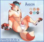  aaron aaron_(artist) anus balls canine ear_piercing earring fur male mammal nude orange orange_fur penis piercing rarakie solo spread_legs spreading 