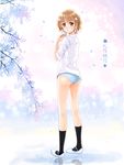  ass blush brown_eyes brown_hair dorris flower hair_flower hair_ornament hanasaku_iroha looking_back matsumae_ohana no_pants open_mouth panties petals polka_dot polka_dot_panties short_hair solo underwear 