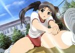  bloomers fate/stay_night gym_uniform takami_akio tohsaka_rin 